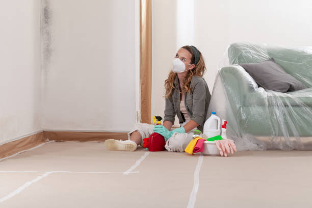 Reliable Mold Inspection And Testing contractor in Olney, TX by Mold Remediation HQ